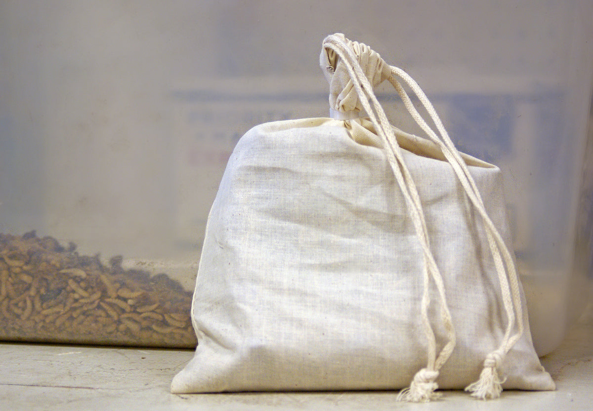 Mealworm Farm starter kit 2,500 mealies 250 beetles PNW Mealworms