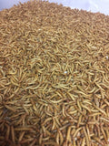 Mealworm Farm starter kit - 2,500  mealies - 500 beetles